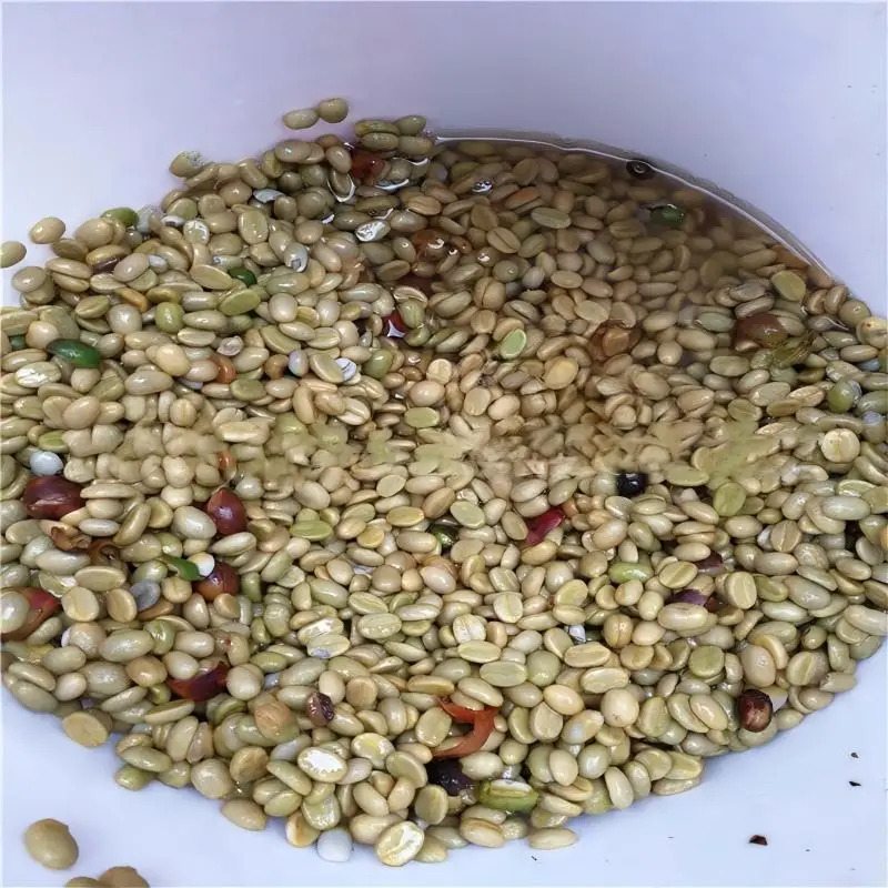 Birui High Productivity Stainl - Coffee Equipment ulasan dan harga